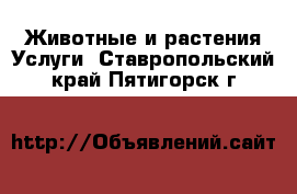 Животные и растения Услуги. Ставропольский край,Пятигорск г.